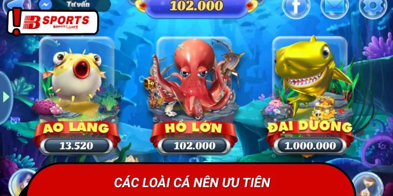 Người chơi nên ưu tiên cá vàng, cá mập đầu búa,...