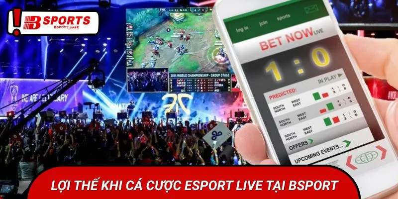 Cá cược Esport Live cực Hot