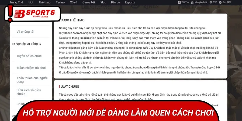 Hệ thống còn trang bị luật chơi cho người mới bắt đầu