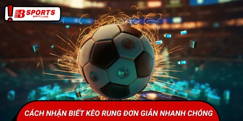 Cách nhận biết kèo rung đơn giản nhanh chóng