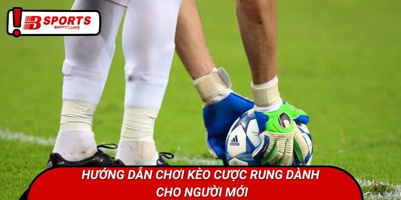 Hướng dẫn chơi kèo cược rung dành cho người mới
