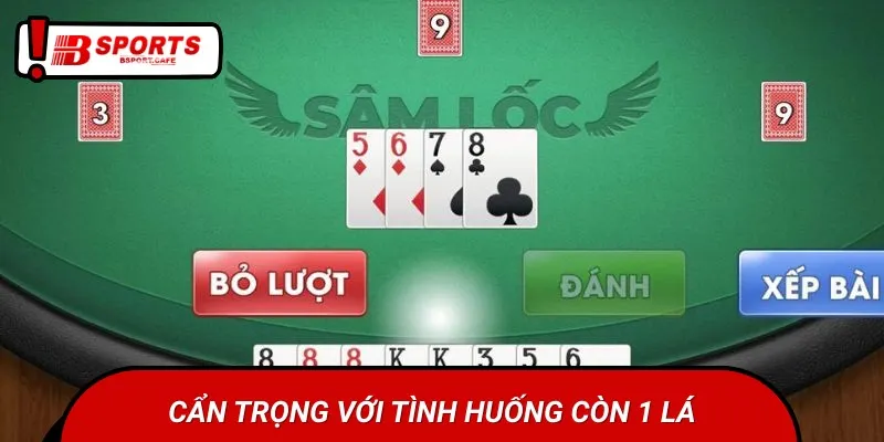 Luôn nhớ báo sâm khi còn 1 lá